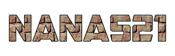 NANAS21 LOGO